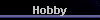  Hobby 